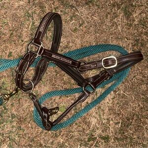 Elegant Brown Leather Horse Halter with Teal Rope